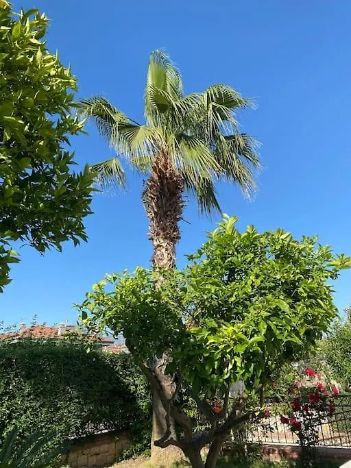 Palm Villa Fethiye