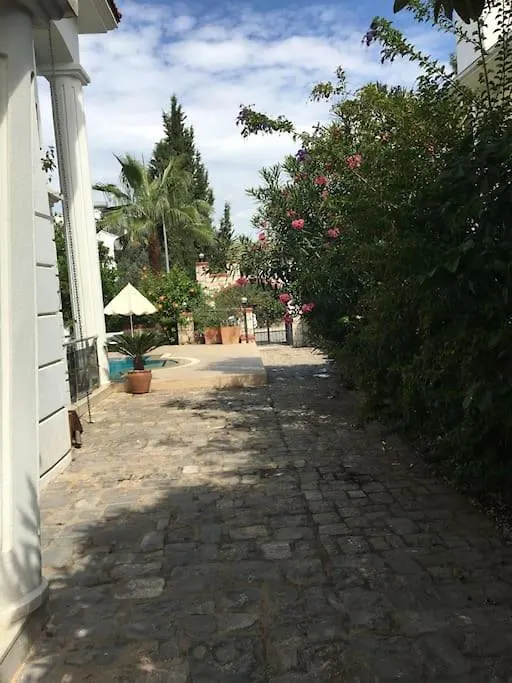 Palm Villa Fethiye