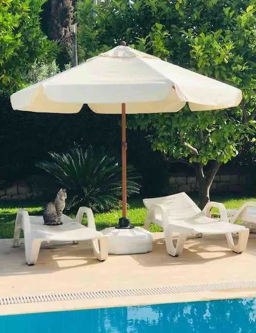 Palm Villa Fethiye 0*,